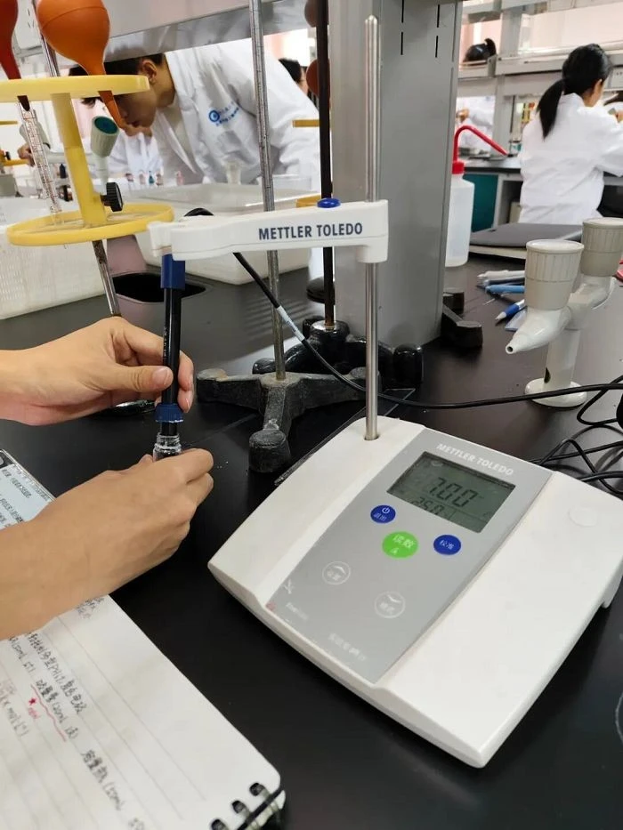 Acid Leaching Testing best